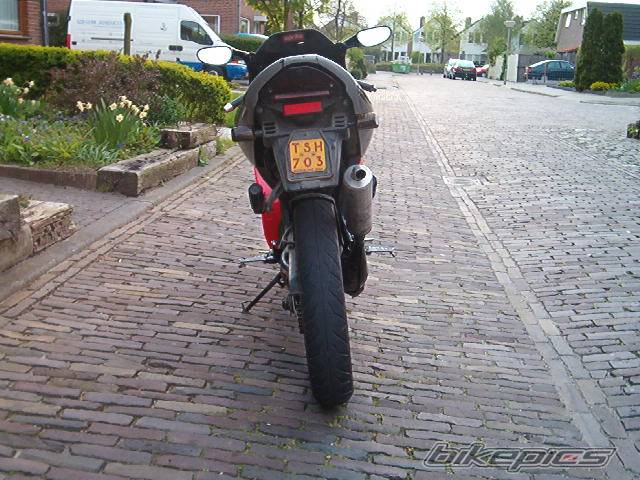 Photo 141907