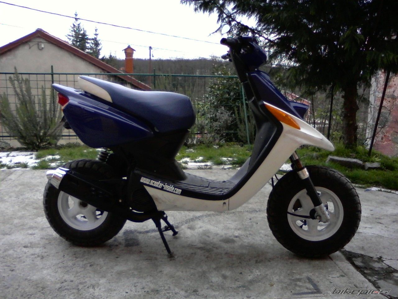 Photo 1419079