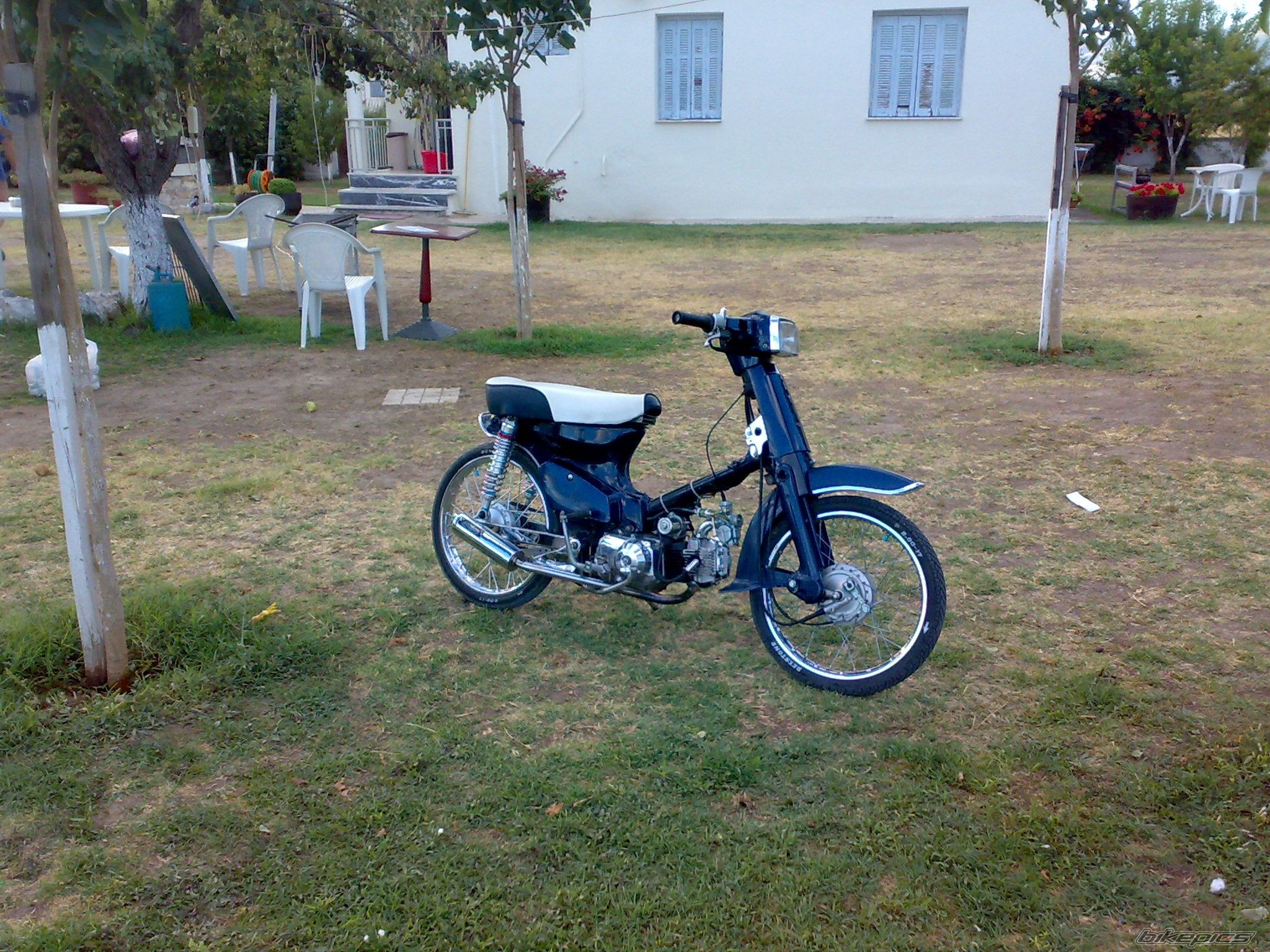 Photo 1419090