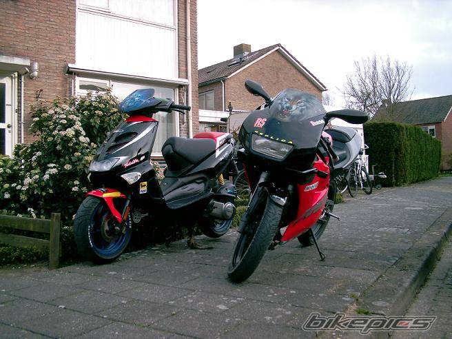 Photo 141910