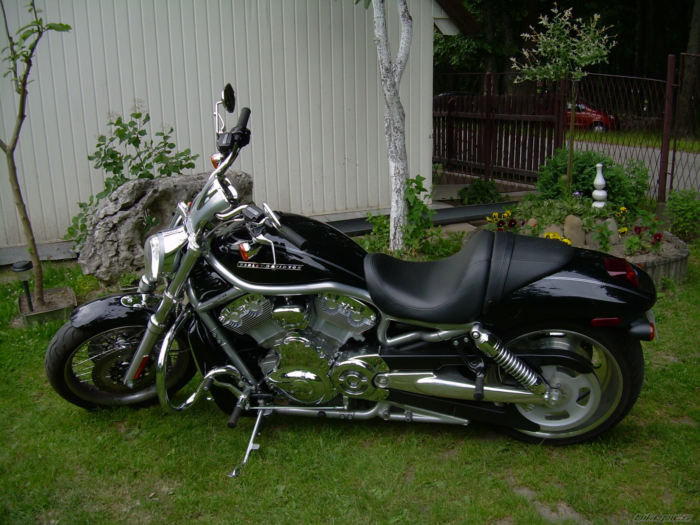 Bike Photo 1419103
