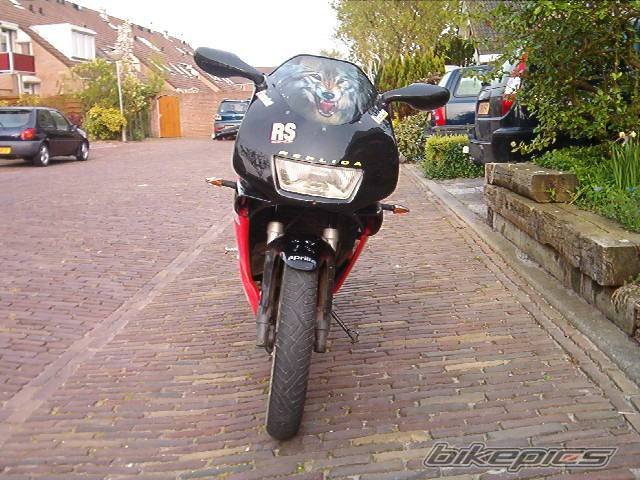 Photo 141912