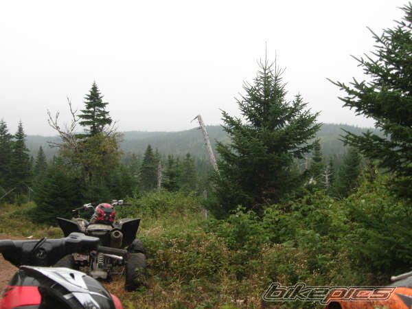 Photo 1419128