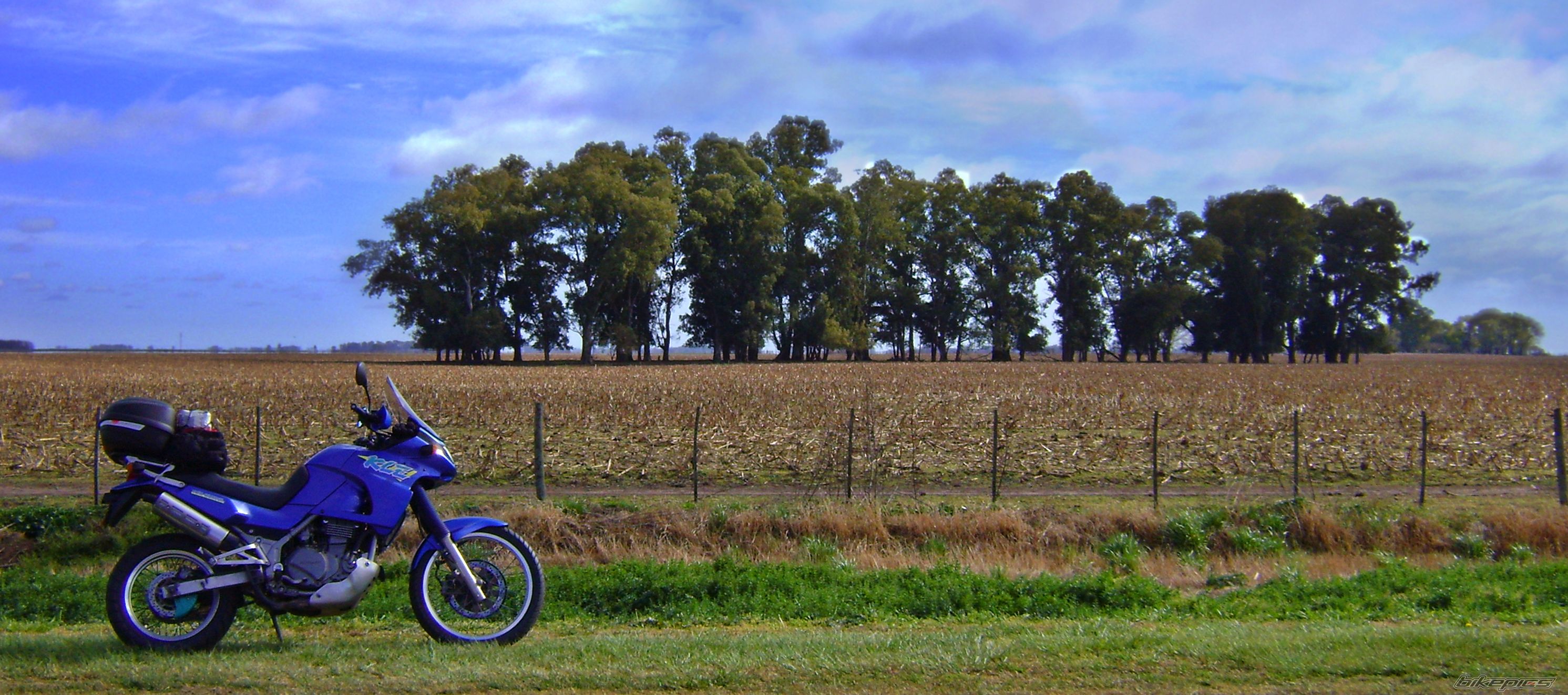 Bike Photo 1419138