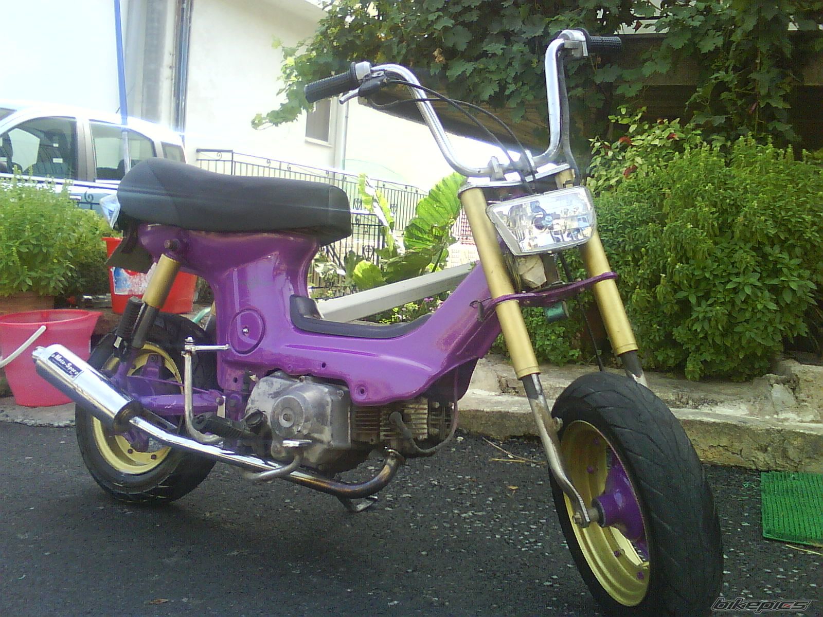 Photo 1419171