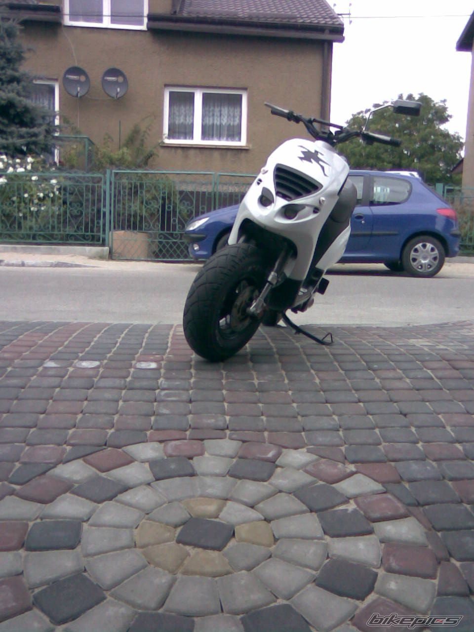 Photo 1419186