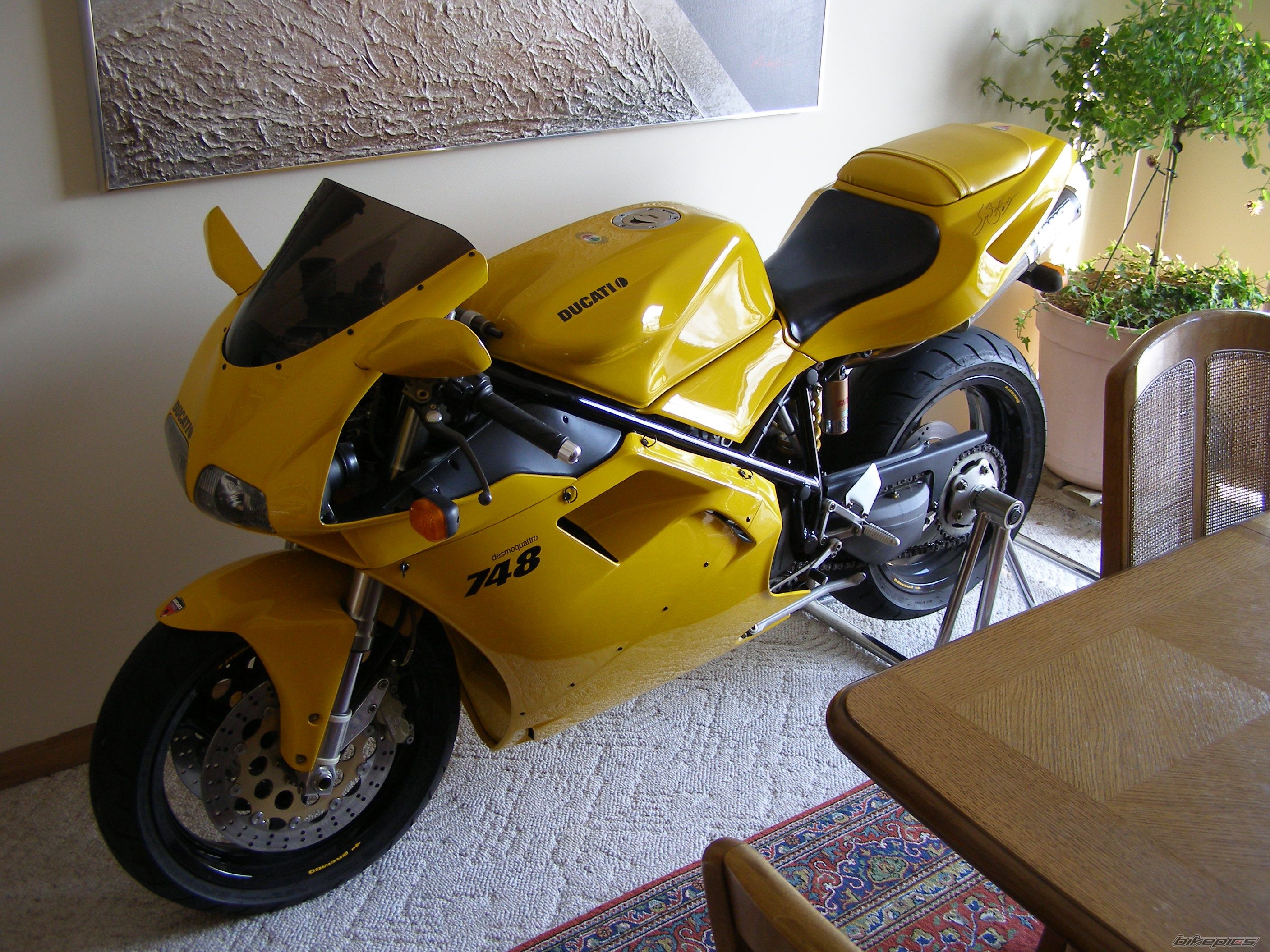 Photo 1419250