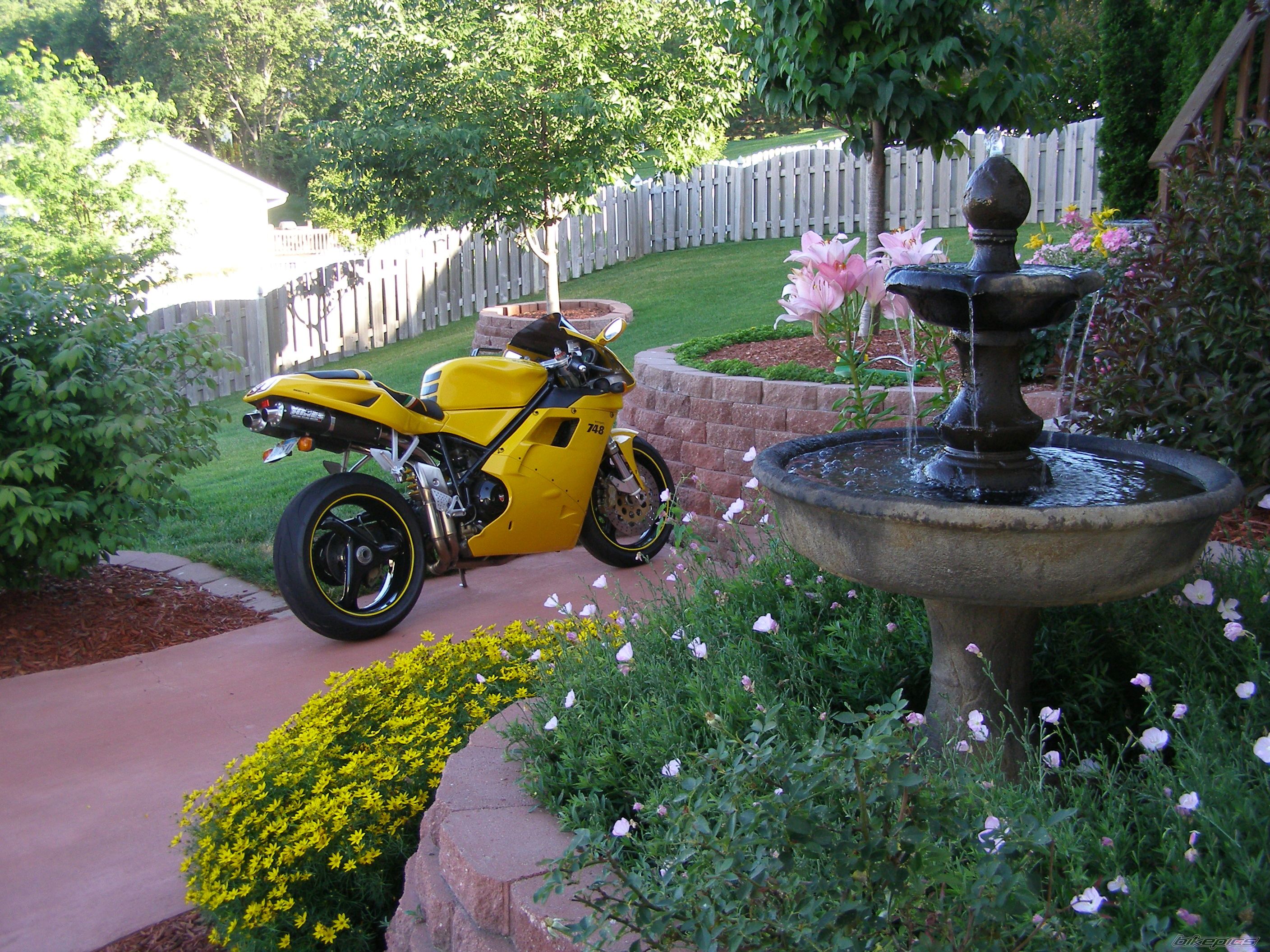 Photo 1419259
