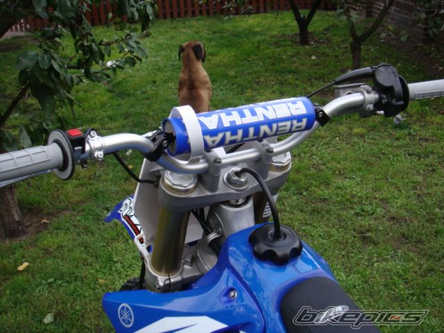 Photo 1419344