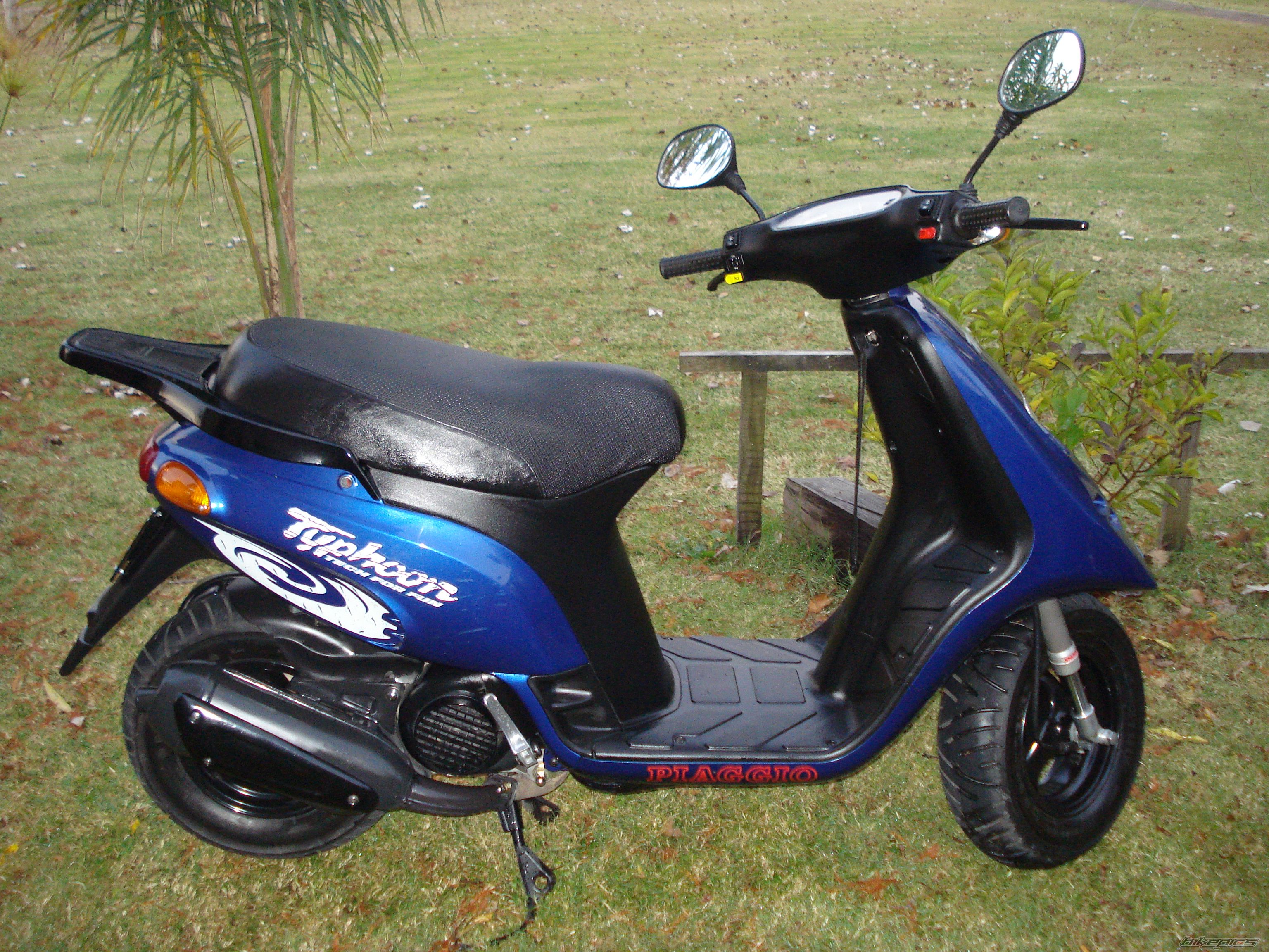 Photo 1419353