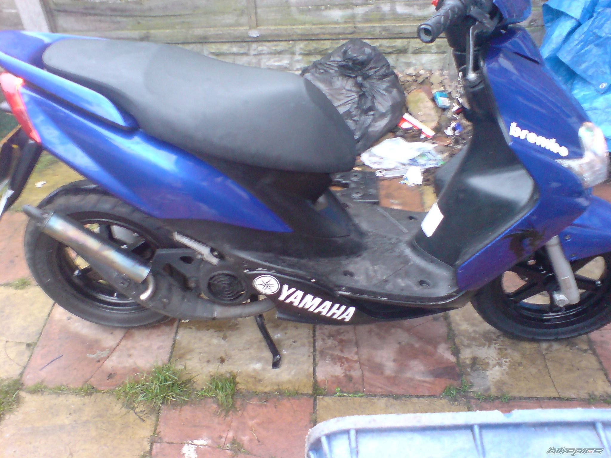 Photo 1419365
