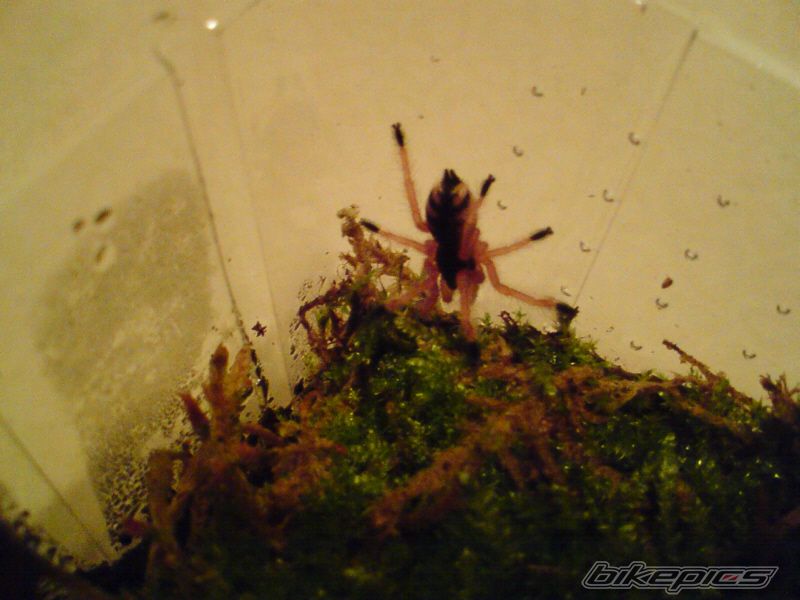 Photo 1419381