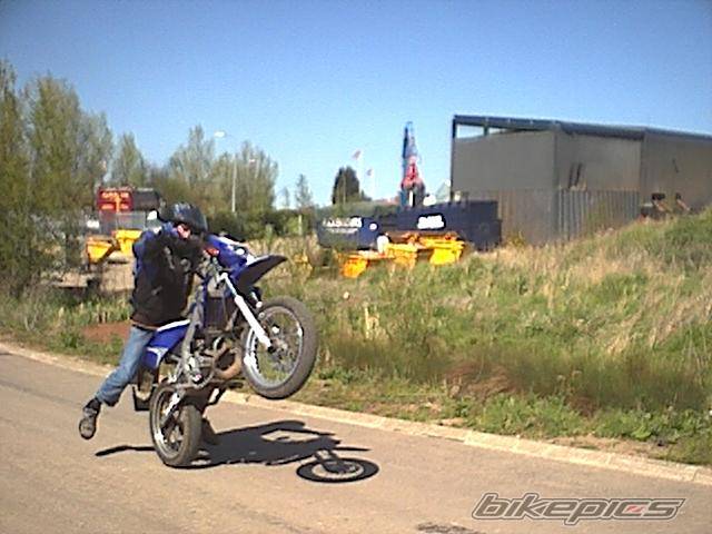 Photo 141946