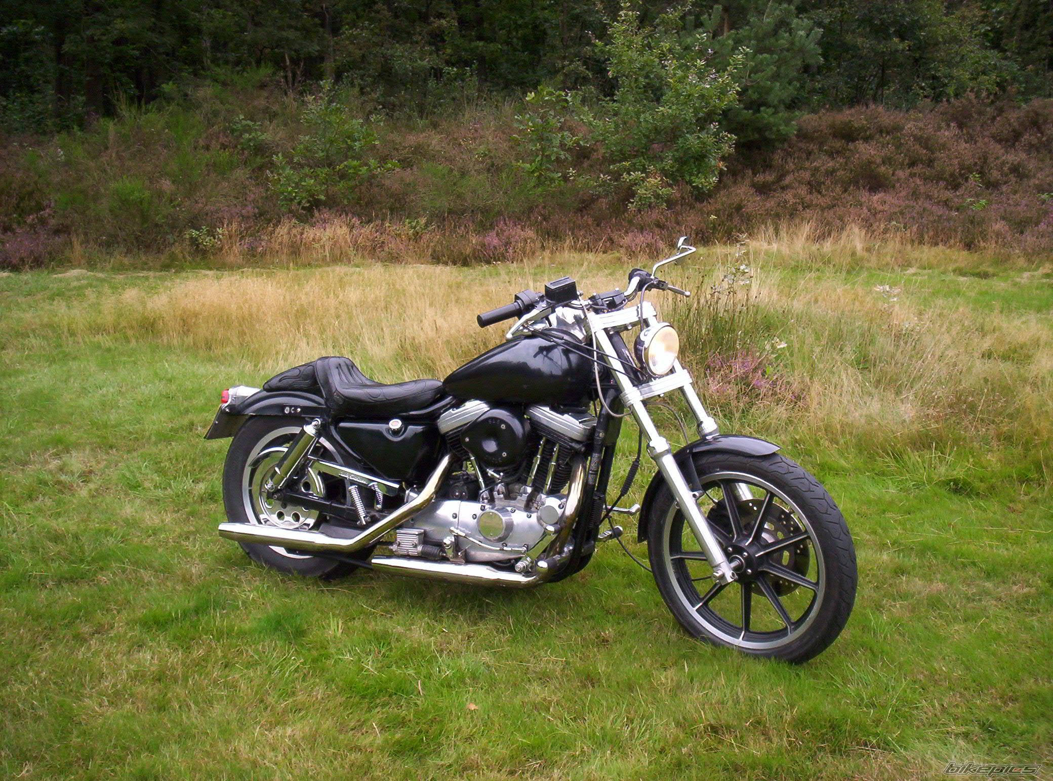 Photo 1419520