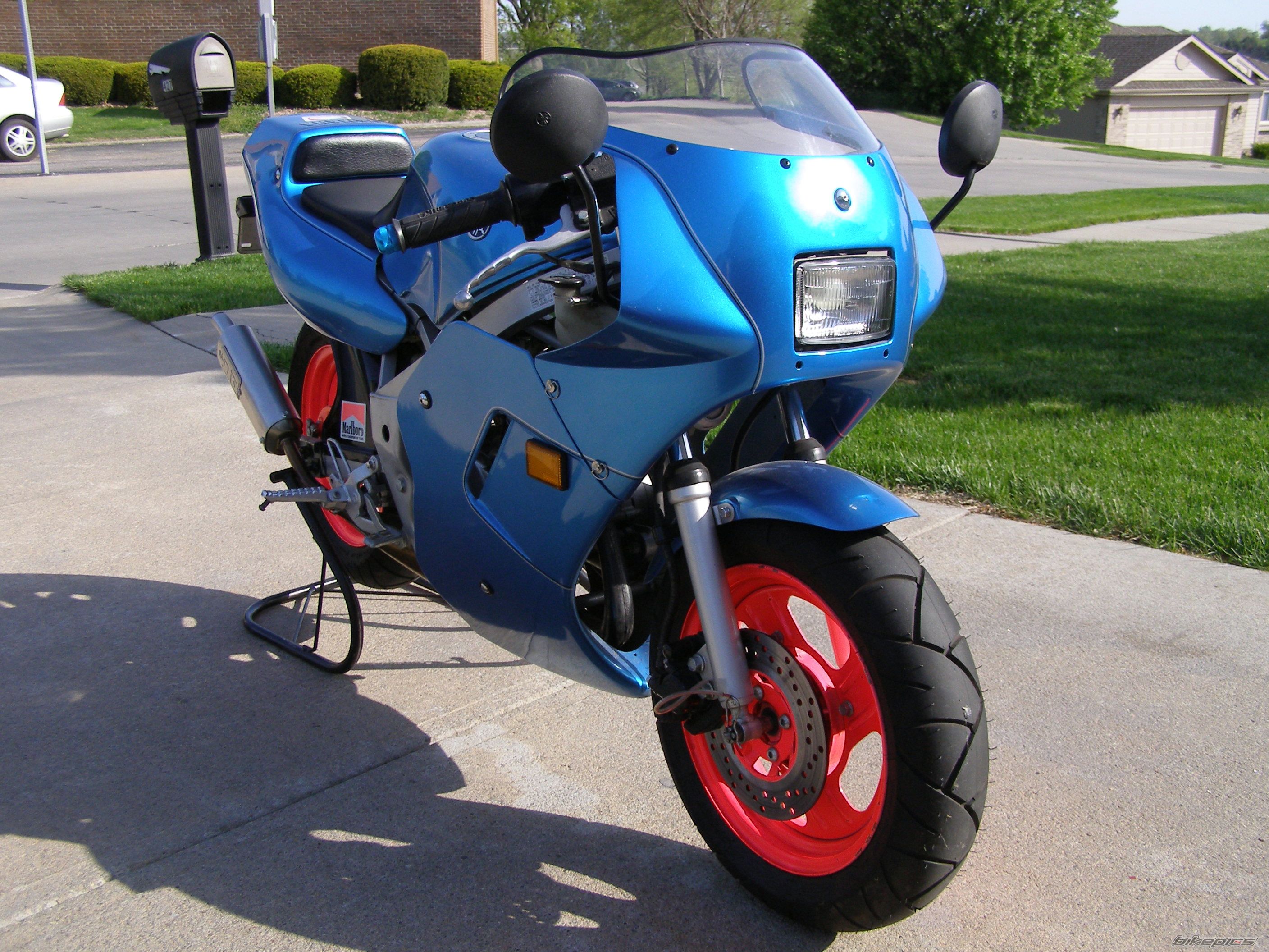 Photo 1419529
