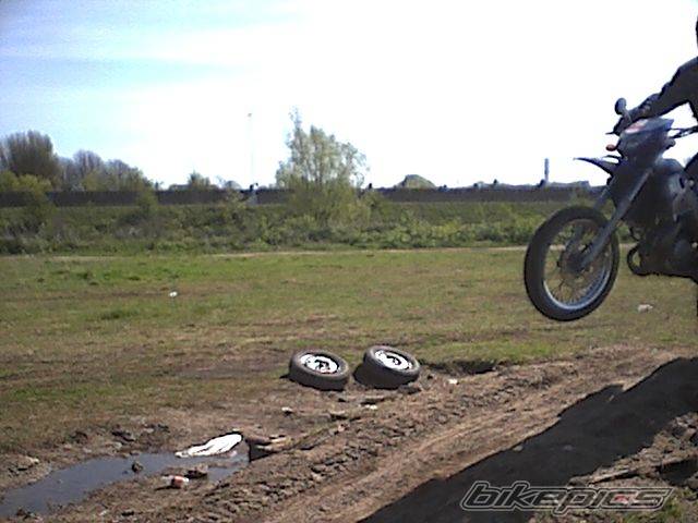 Photo 141955