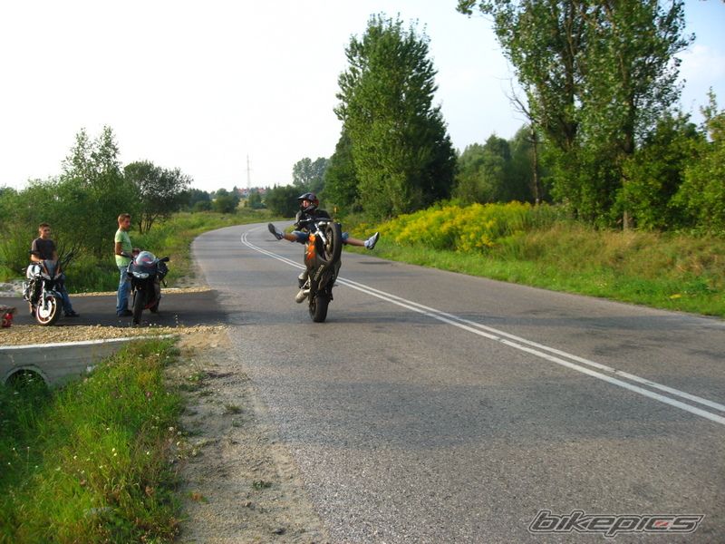 Photo 1419603