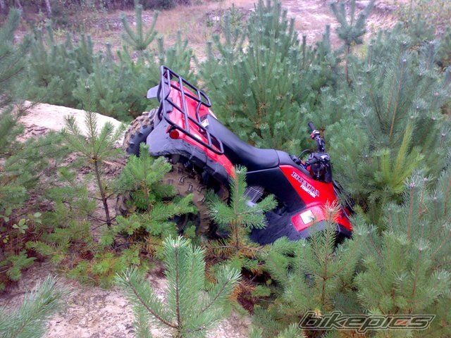 Photo 1419611