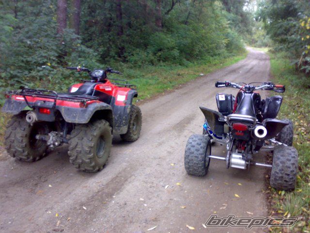 Photo 1419616