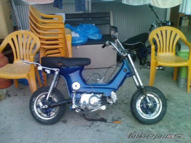 Photo 1419640