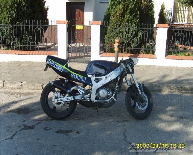 Photo 1419786