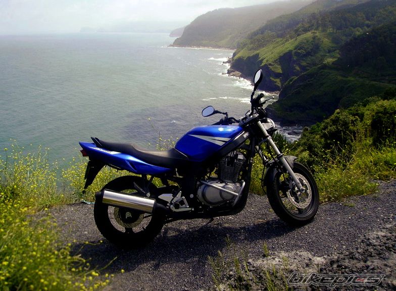 Photo 1419794