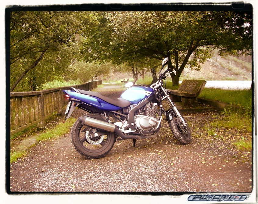 Bike Photo 1419800
