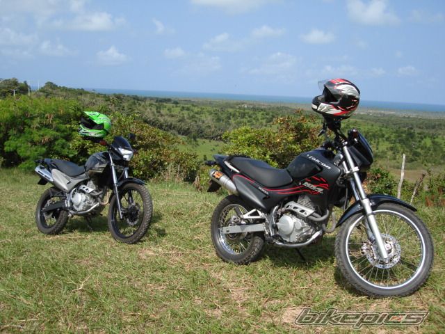 Photo 1419861