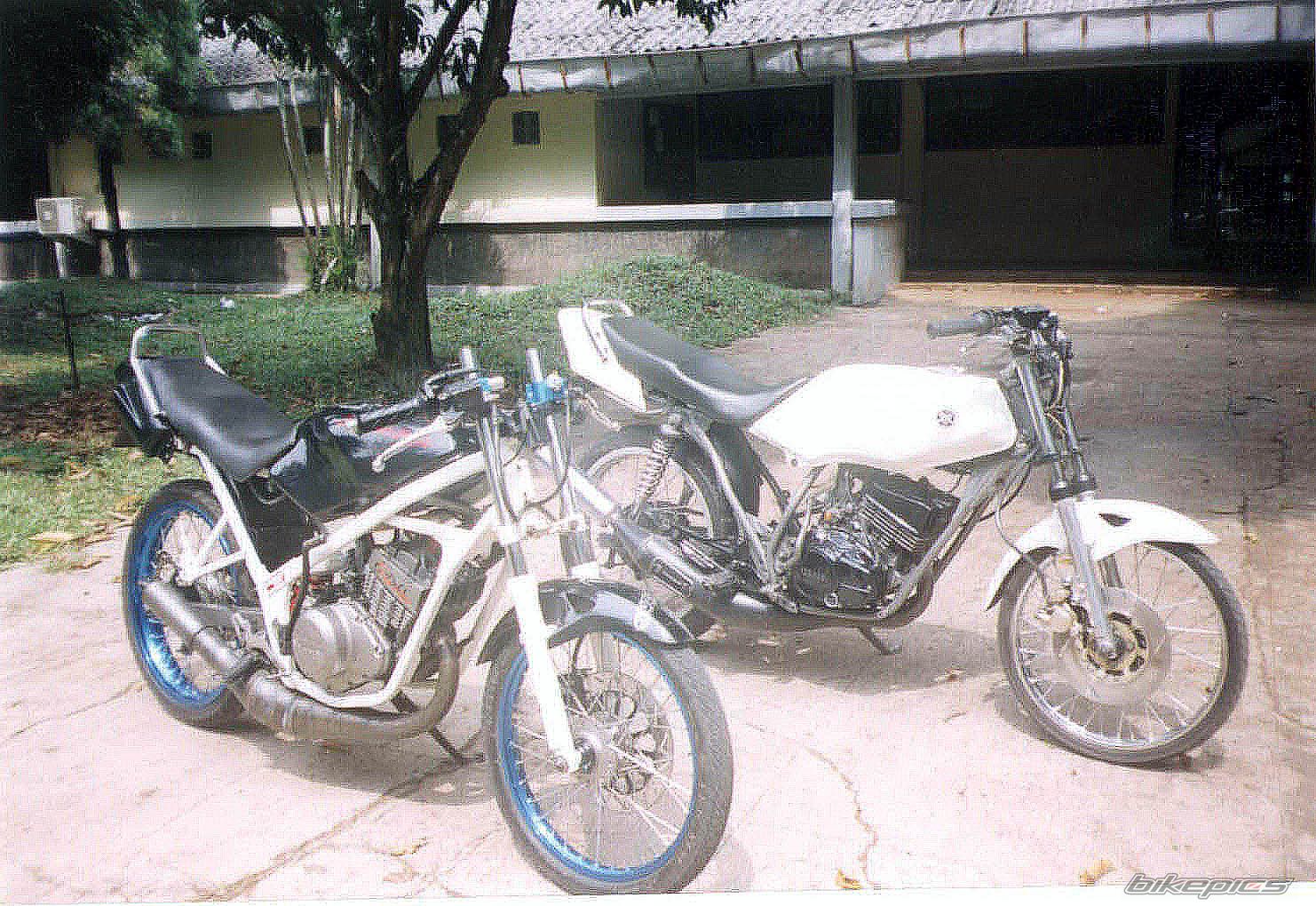 Photo 1419903