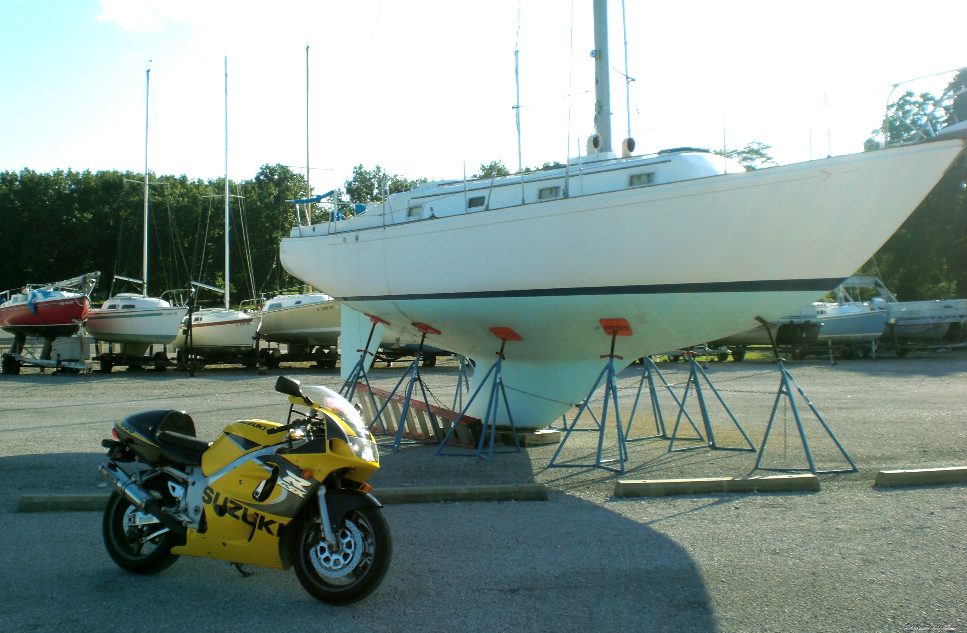 Photo 1419972