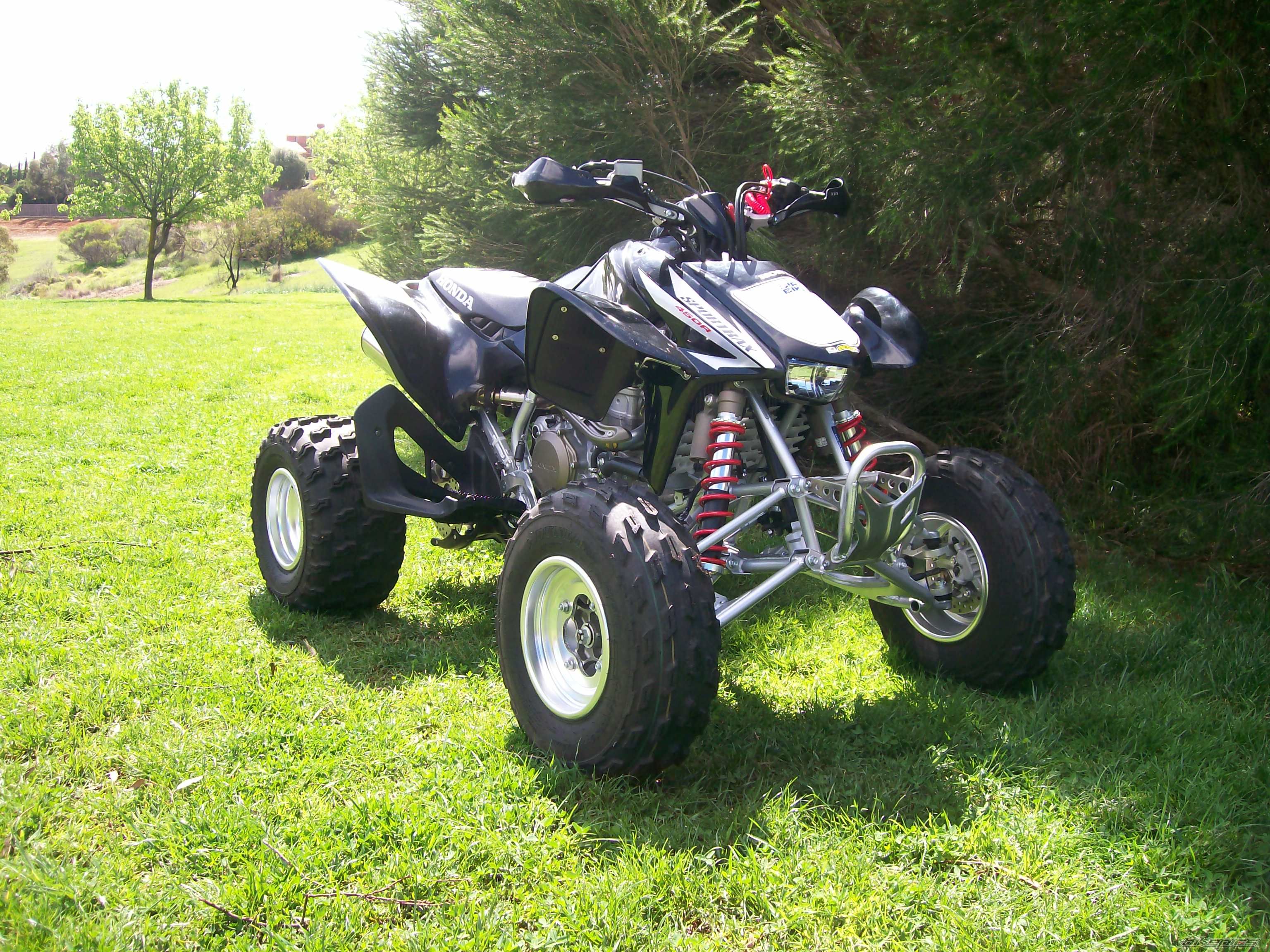 Photo 1419980