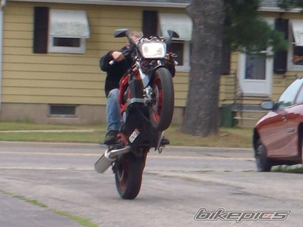 Photo 1420021