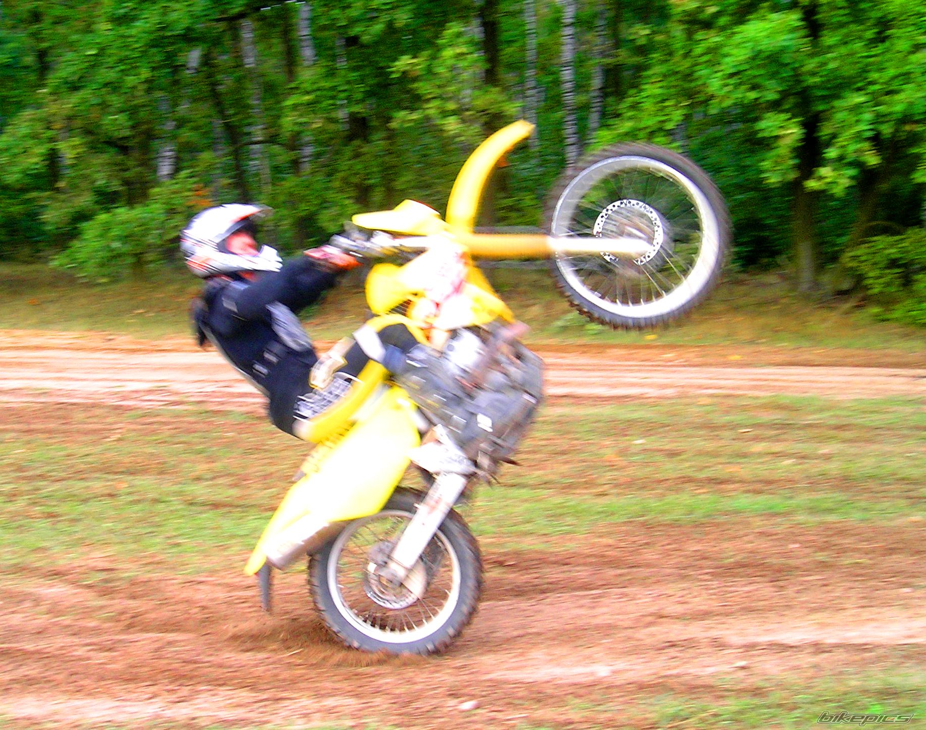Photo 1420035