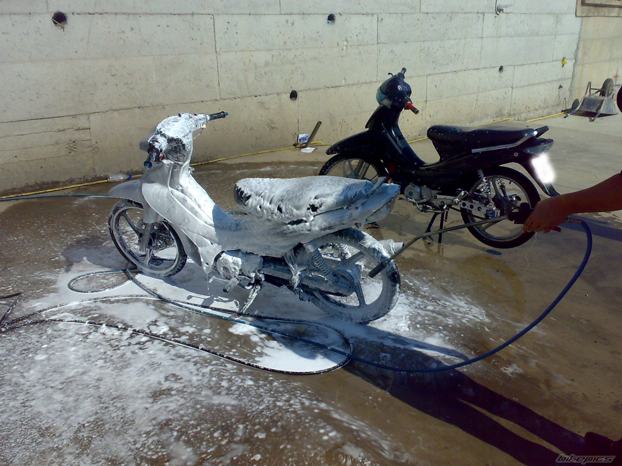 Photo 1420261