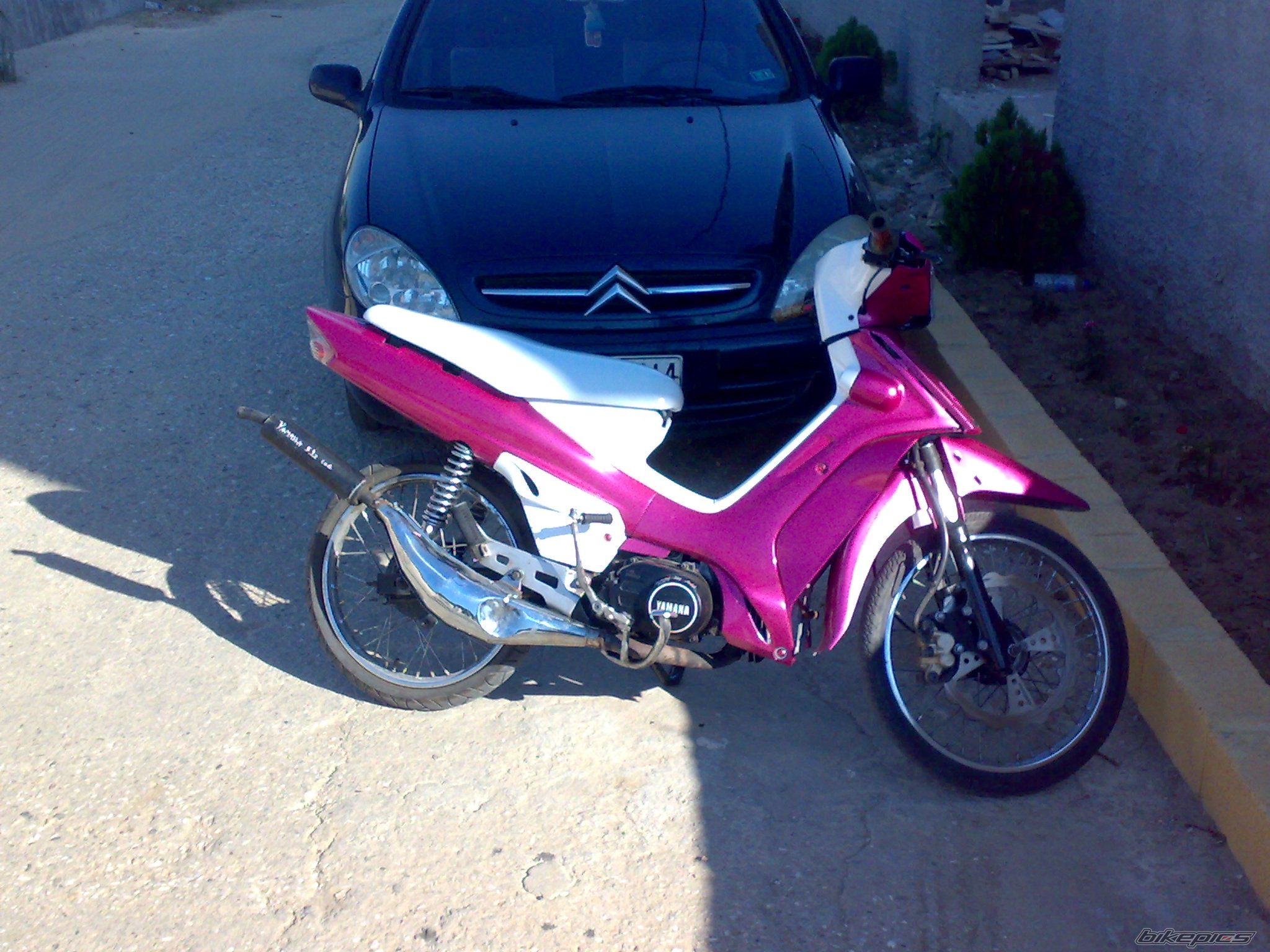 Photo 1420283
