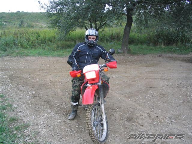 Photo 1420303