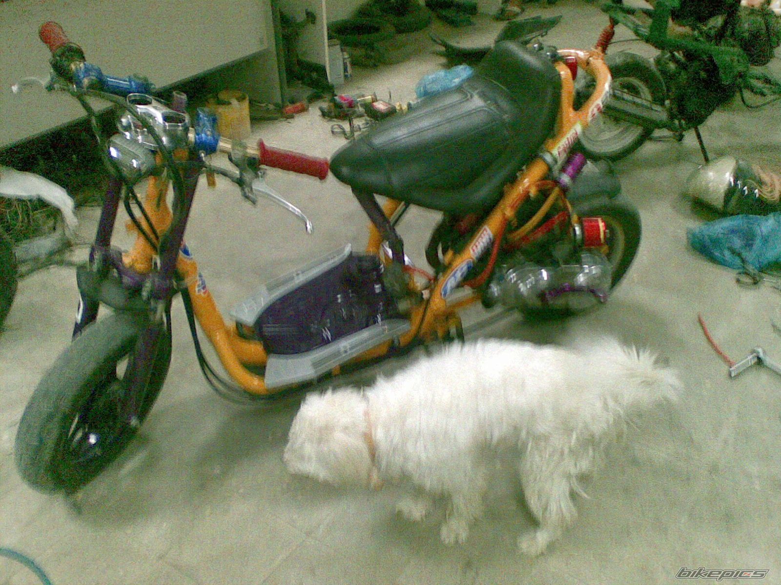 Bike Photo 1420314