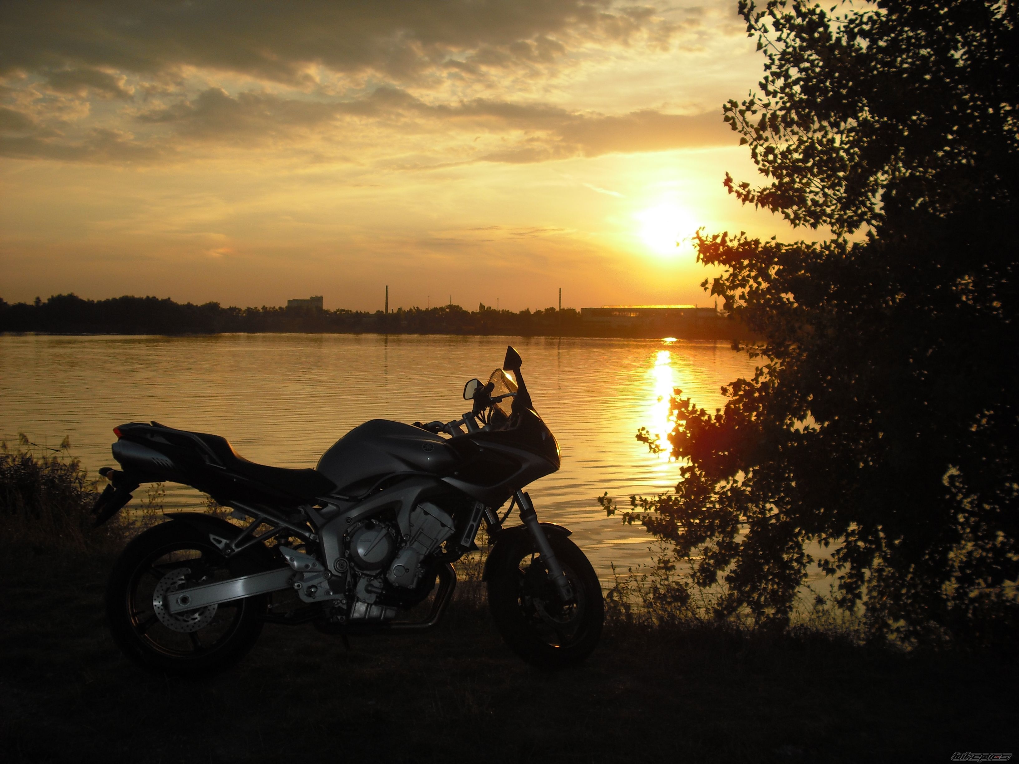 Photo 1420351