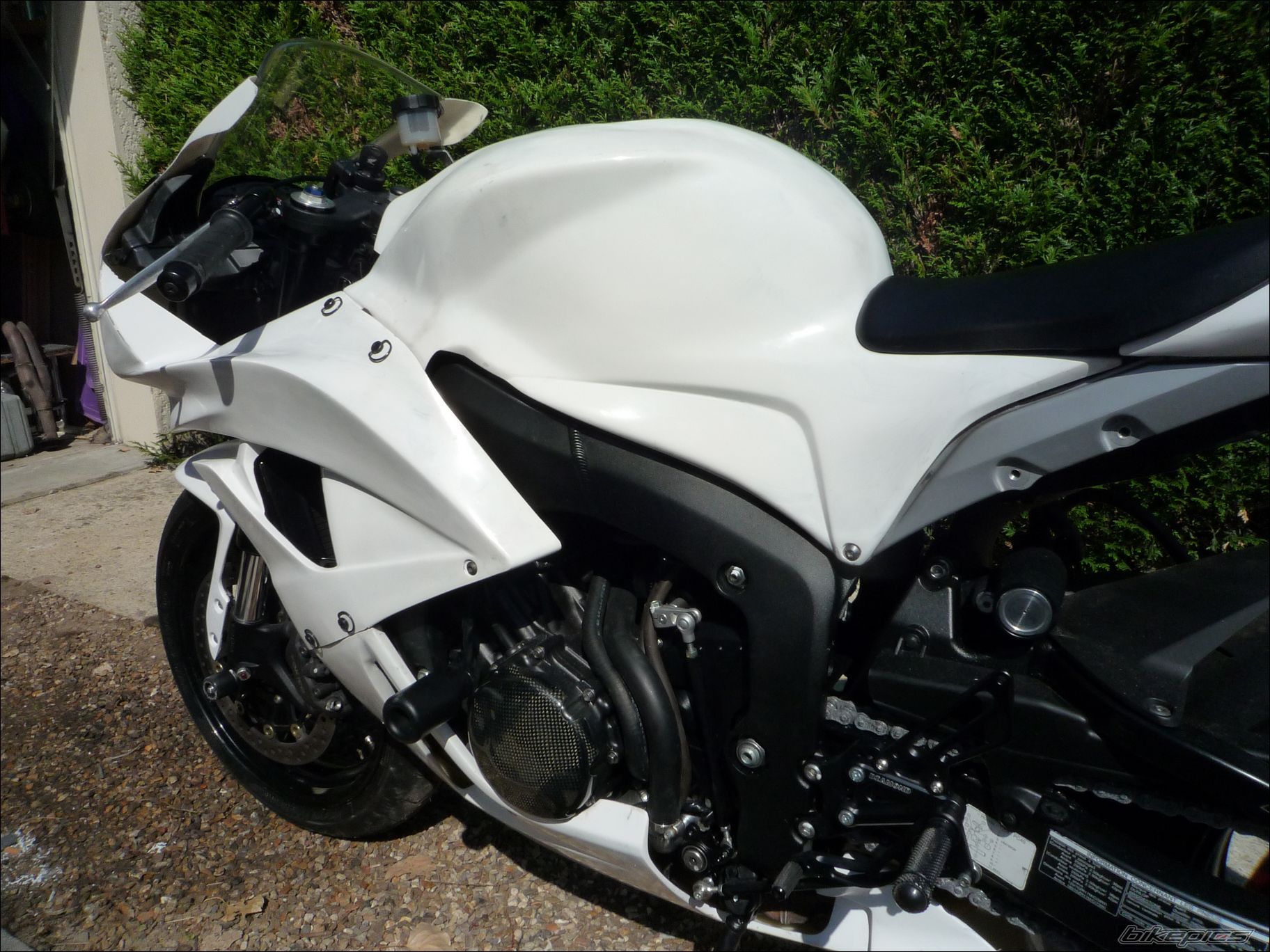 Photo 1420373