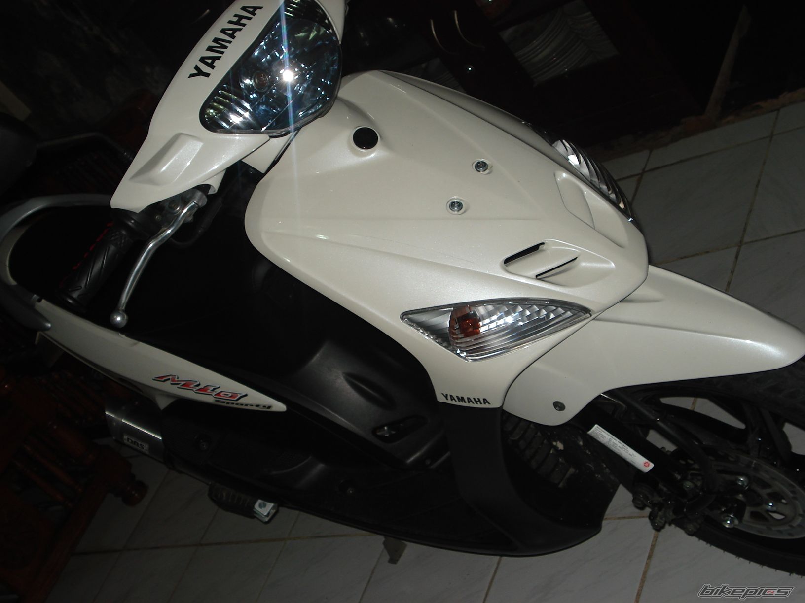 Photo 1420382