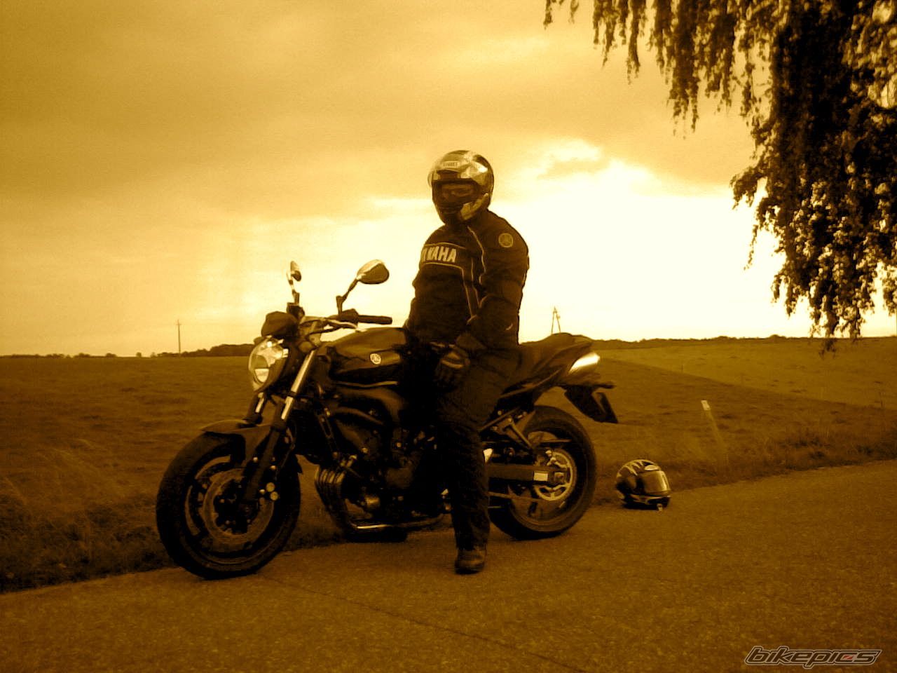 Photo 1420433