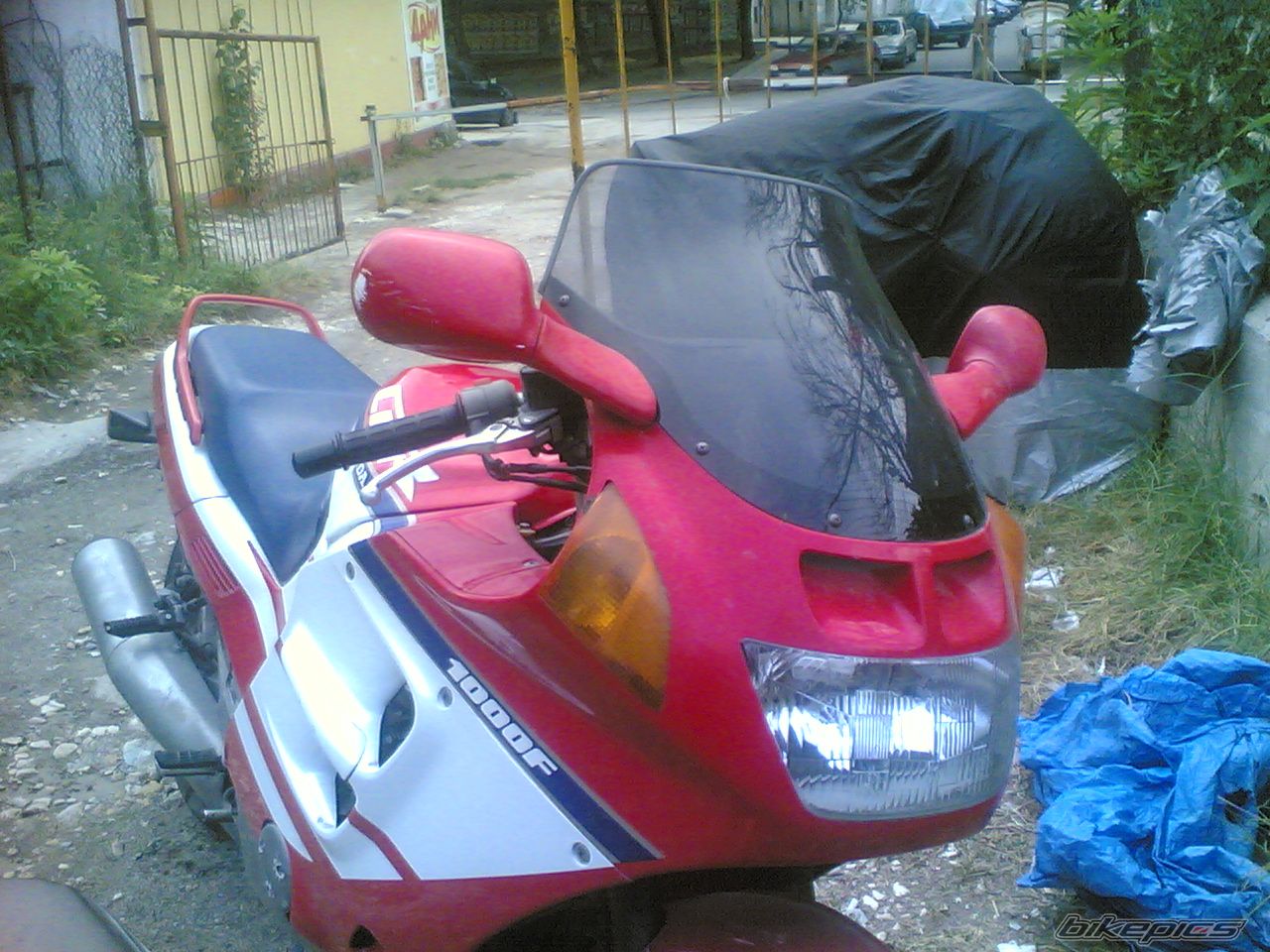 Photo 1420642