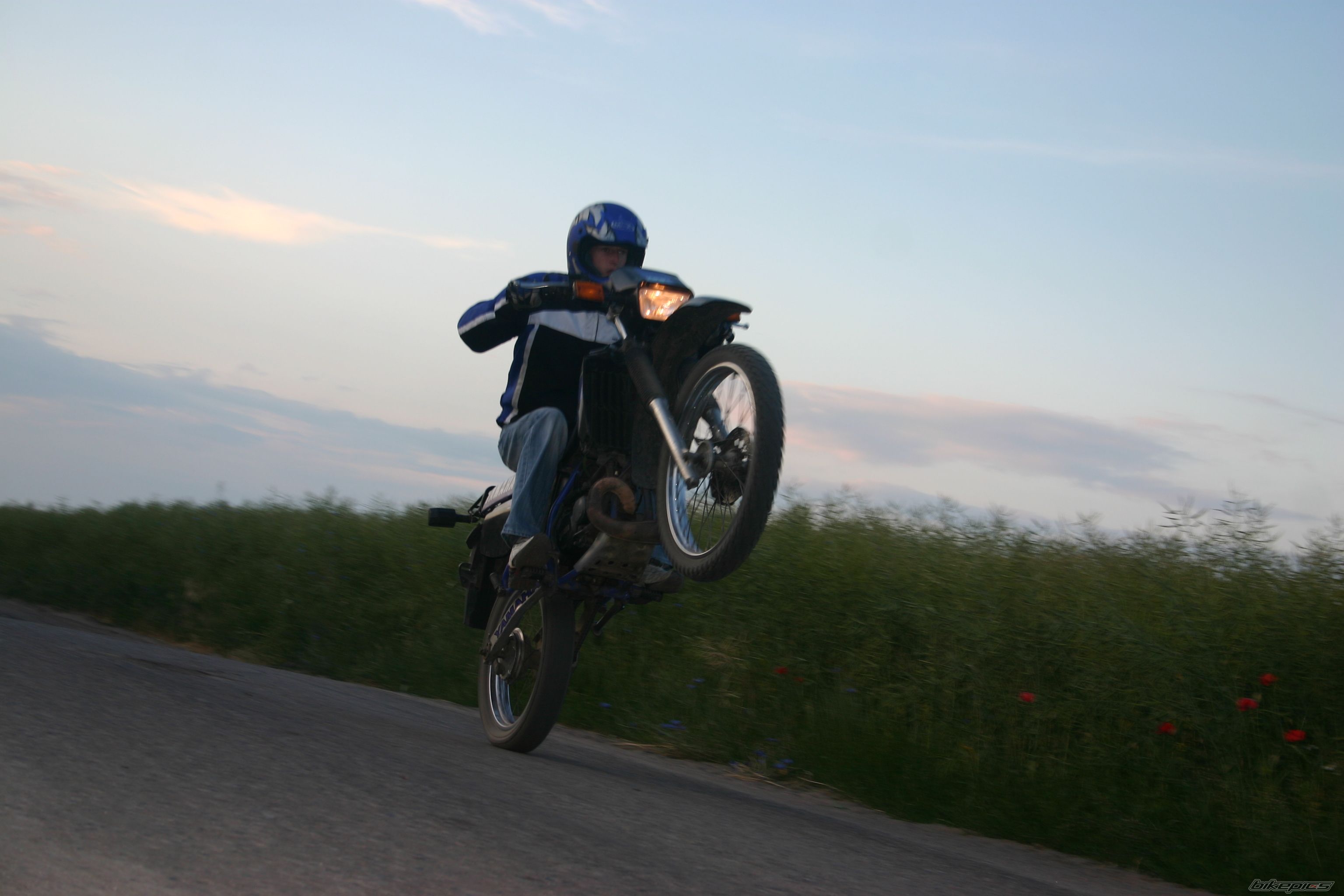 Photo 1420678