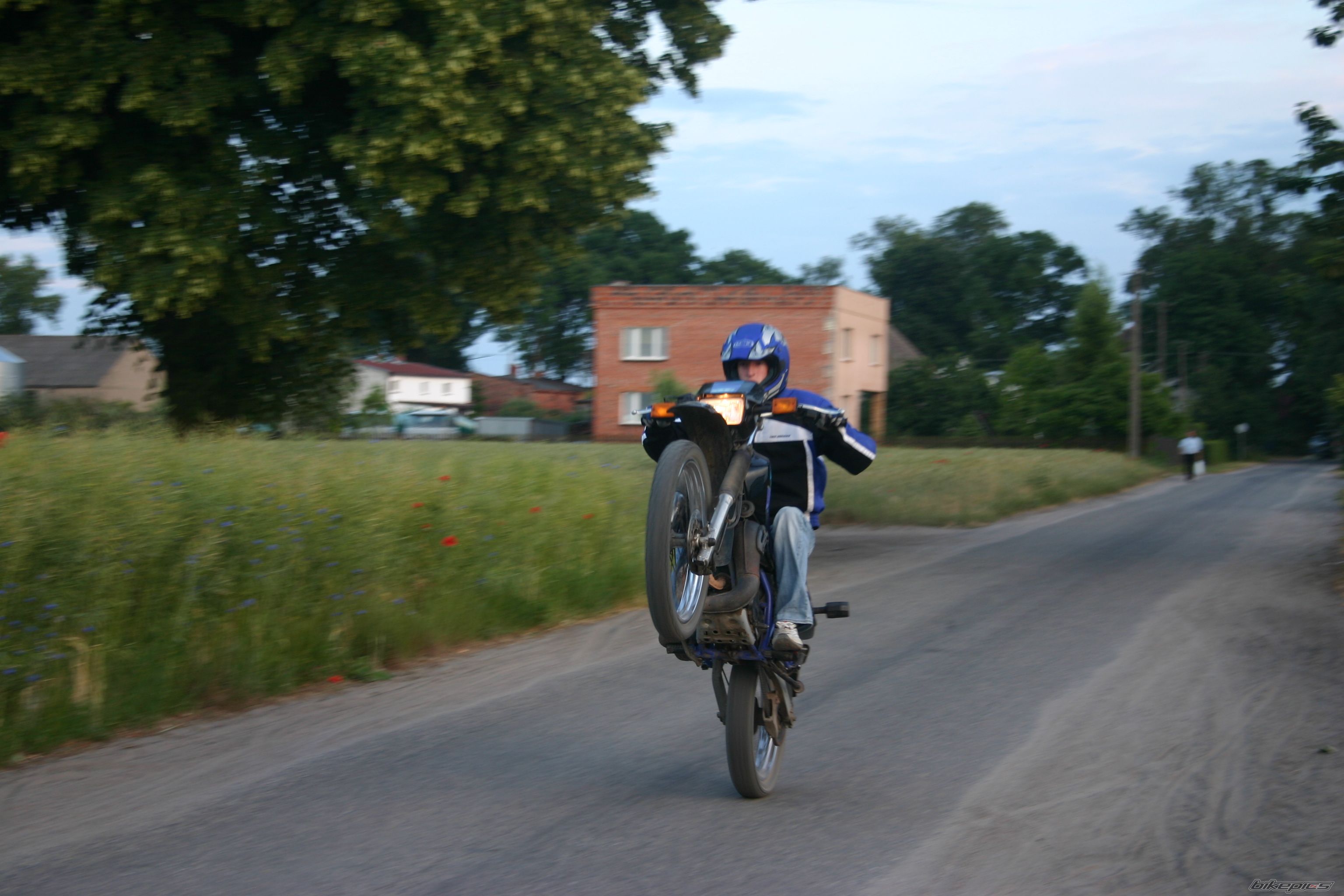 Photo 1420687