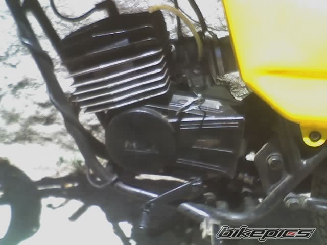 Photo 1420733