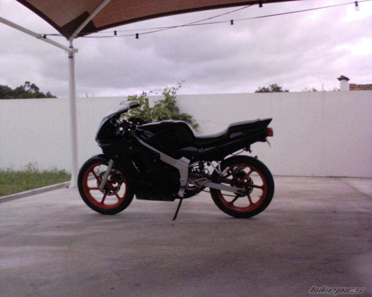 Photo 1420774