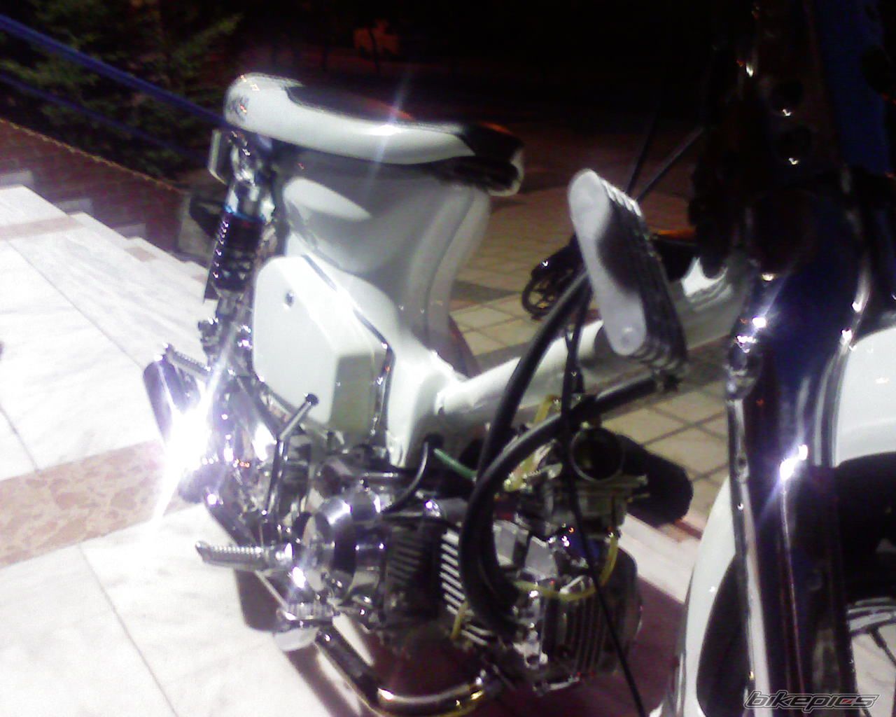 Photo 1420778