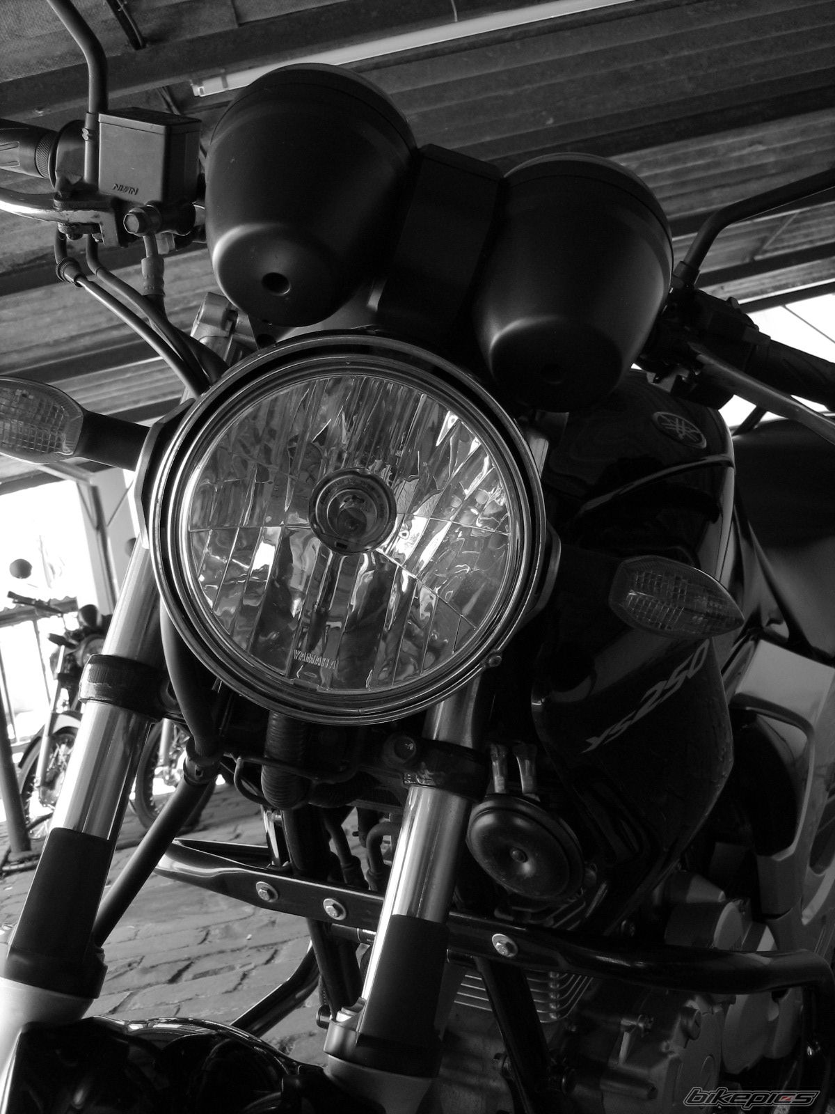 Photo 1420832