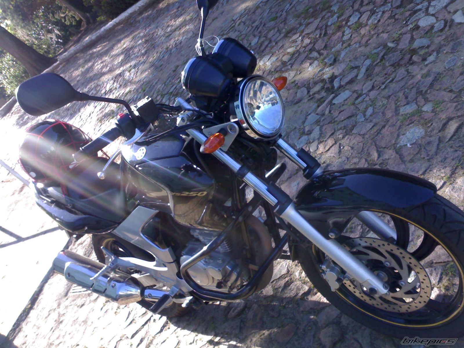 Photo 1420835