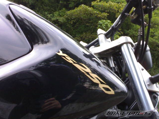 Photo 1420840